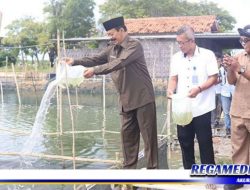 Wakil Bupati Pamekasan Tebar Benih Ikan Kerapu Cantang di Desa Lembung