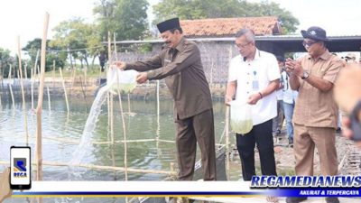 Wakil Bupati Pamekasan Tebar Benih Ikan Kerapu Cantang di Desa Lembung