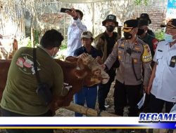 Tiga Pilar Mulyorejo Sidak Penjualan Hewan Qurban