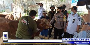 Tiga Pilar Mulyorejo Sidak Penjualan Hewan Qurban
