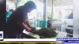 Caption: proses pengolahan sayur pangi.