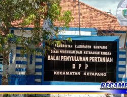 Pemkab Sampang Rehab Tiga Kantor Balai Penyuluhan Pertanian