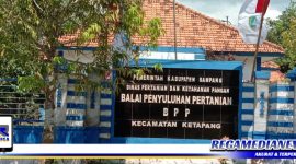 Caption: Kantor Balai Penyuluhan Pertanian Kecamatan Ketapang, Kabupaten Sampang, (Doc: Muadi/RMN).