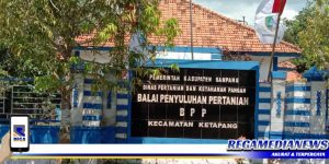 Pemkab Sampang Rehab Tiga Kantor Balai Penyuluhan Pertanian