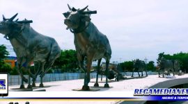 Caption: tampak tiga pasang karapan sapi terpasang di proyek pembangunan taman Trunojoyo Sampang, (Doc: Muadi/RMN). 