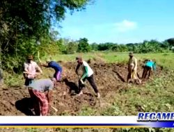 Sering Dilanda Banjir, Warga Margantoko Sampang Swadaya Bangun Tanggul