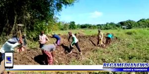 Sering Dilanda Banjir, Warga Margantoko Sampang Swadaya Bangun Tanggul