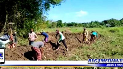 Sering Dilanda Banjir, Warga Margantoko Sampang Swadaya Bangun Tanggul