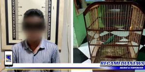 Kepergok Nyolong Burung, Warga Sampang Ditangkap Polsek Asemrowo