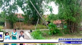Caption: tampak kondisi tiang hampir roboh dan kabel listrik nyaris melelet ke tanah, (Dok. Red/Regamedianews).