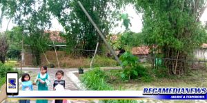 Kabel PLN di Banjar Talelah Sampang Membahayakan Warga