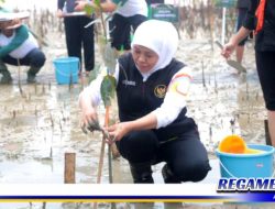 Tanam Mangrove, Cara Khofifah Ajak Warga Sampang Sedekah Oksigen