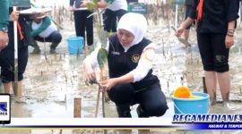 Caption: Gubernur Jawa Timur Khofifah Indar Parawansa saat tanam mangrove di pesisir Desa Taddan, Camplong, Sampang, (Dok. Red/Regamedianews).