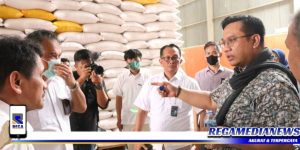 Ombudsman Ingatkan Pemerintah Penuhi Indikator Pengambilan Keputusan Impor Beras
