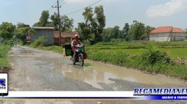 Caption: tampak kondisi jalan raya Taman Sareh rusak dan tergenang air lumpur, (dok. redaksi regamedianews).