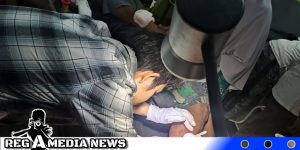 Harimau Serang Tim Patroli Hutan FKL di Aceh Selatan