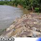 Caption: Tanggul Kluet Selatan (Foto/AE). 
