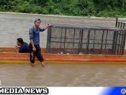 Forkopimda Aceh Selatan Kirimkan Perangkap Harimau