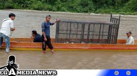 Caption: saat pengiriman Perangkap Harimau (foto/amr) 