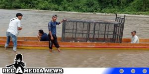 Forkopimda Aceh Selatan Kirimkan Perangkap Harimau