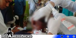 Breaking News, Harimau Sumatera Kembali Lukai 2 Warga Aceh Selatan
