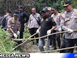 43 Hektar Ladang Ganja Aceh Siap Panen Dimusnahkan