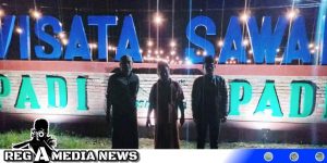 Kabupaten Sampang Sajikan Wisata Sawah