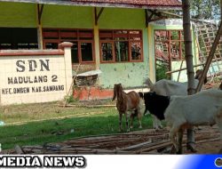 Pemerintah Desa Prihatin Kondisi SDN Madulang 2 Sampang