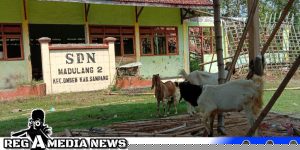 Pemerintah Desa Prihatin Kondisi SDN Madulang 2 Sampang