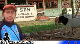 Caption: Makmun Villa, Ketua Karang Taruna Kecamatan Omben Kabupaten Sampang, (dok. regamedianews).