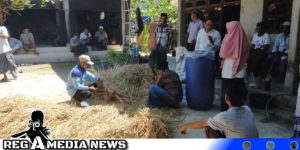 Kemarau, Petani Sampang Bisa Manfaatkan Limbah Tani