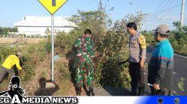 Caption: anggota Koramil 0828/01 dan Polsekta Sampang, saat membersihkan semak belukar di sepanjang Jl.Raya Makboel, Polagan, sekitar jalan lingkar selatan, (dok. regamedianews).