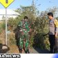 Caption: anggota Koramil 0828/01 dan Polsekta Sampang, saat membersihkan semak belukar di sepanjang Jl.Raya Makboel, Polagan, sekitar jalan lingkar selatan, (dok. regamedianews).