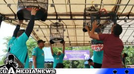 Caption: peserta kicau mania persiapkan burungnya dalam festival dan kompetisi piala Kapolres Aceh Selatan, (dok. regamedianews).