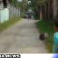 Caption: korban carok di Bangkalan tampak tergeletak di pinggir jalan, (dok. regamedianews).