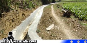 Efektivitas P3-TGAI Desa Kebun Sareh Dorong Produktivitas Pertanian