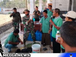 Praktek Budidaya Cabe, Program Non Fisik TMMD Sampang