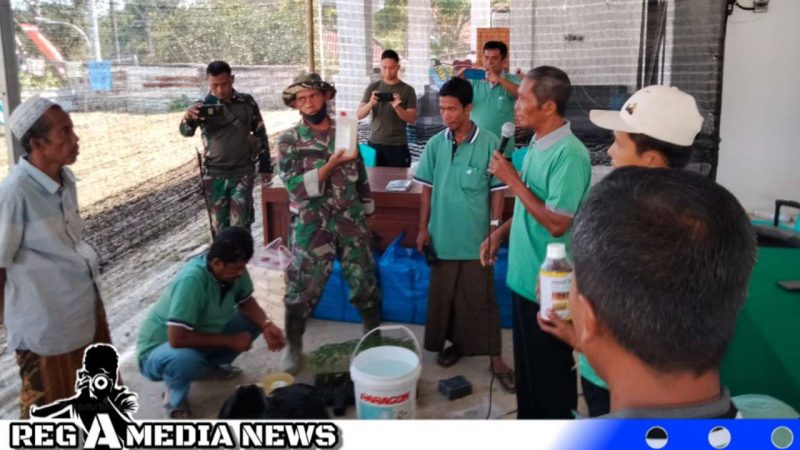 Caption: Satgas TMMD Kodim 0828 Sampang gandeng Dinas Pertanian praktekkan budidaya cabe besar kepada warga Desa Pasarenan, (dok. regamedianews). 