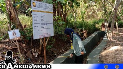 P3-TGAI Buat Irigasi Pertanian Lebih Efektif