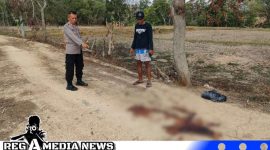 Caption: polisi tunjukkan lokasi ditemukannya wanita dalam kondisi berlumuran darah, (dok. regamedianews). 