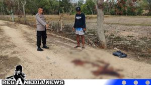Wanita Asal Jawa Tengah Tewas di Sampang