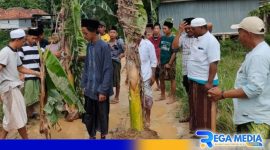 Caption: warga melakukan aksi penanaman pohon pisang sebagai bentuk protes dan kecewa, (dok. regamedianews). 