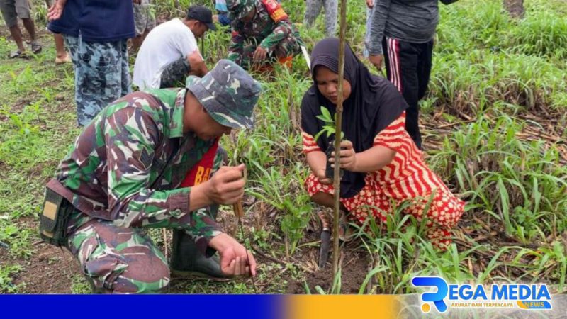Caption: aksi penanaman bibit pohon yang dilakukan prajurit Kodim Gorut bersama masyarakat, (dok. Kodim 1314 Gorut). 