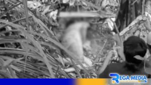 Dikabarkan Hilang, Warga Pamekasan Ditemukan Tewas