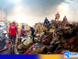 Tembakau Laku Rp 4 Miliar di Pamekasan Terbakar