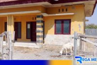 Caption: Polindes Panglegur terbengkalai, tampak dijadikan tempat mengembala kambing, (dok. regamedianews). 