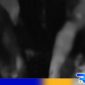 Caption: kondisi terduga maling motor di Banyuates babak belur usai diamuk warga, (dok. regamedianews). 