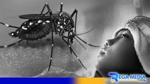 Marak Demam Berdarah, Tomas Gunung Rancak Berharap Dinkes Turun Tangan
