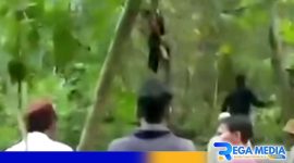 Caption: screenshot video viral warga temukan pria tewas gantung diri, (dok. regamedianews). 