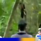Caption: screenshot video viral warga temukan pria tewas gantung diri, (dok. regamedianews). 